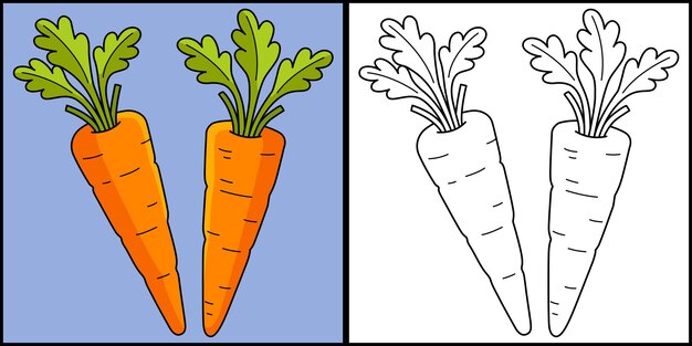 Premium vector carrots vegetable coloring page illustration