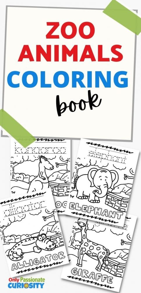 Zoo animals coloring book
