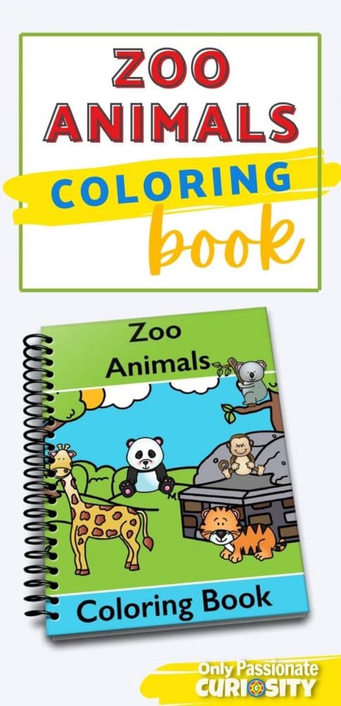 Zoo animals coloring book
