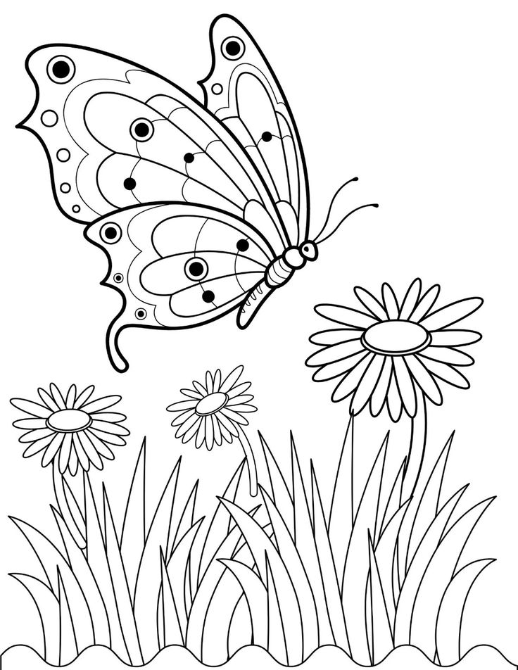 Butterfly coloring pages butterfly pdf butterfly printables butterfly coloring sheets summer coloring pages butterfly activity pages download now