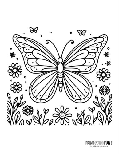 Butterfly coloring pages clipart collection with both easy plex designs at