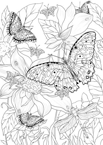 Pretty butterflies â favoreads coloring club