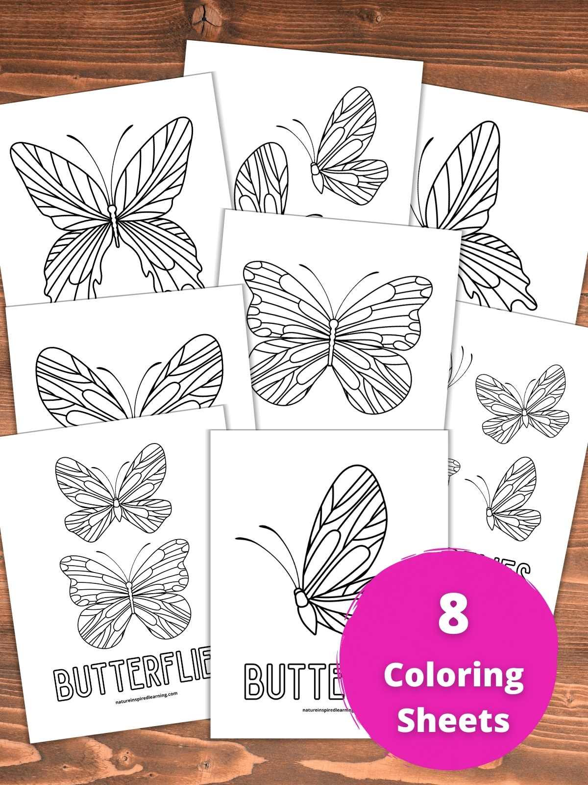 Beautiful butterfly coloring pages