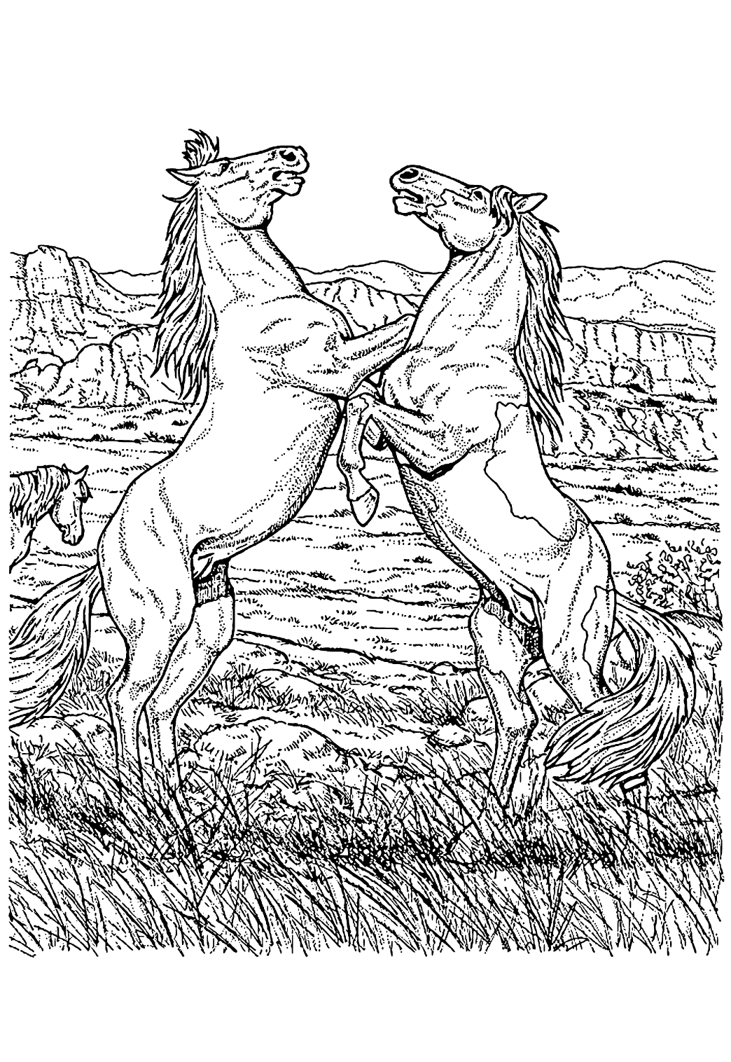 Free printable realistic horses coloring page for adults and kids