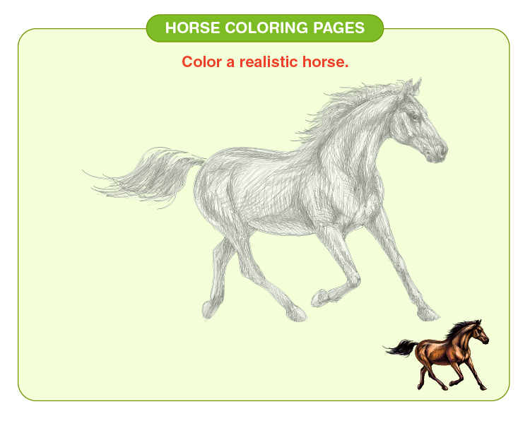 Horse coloring pages download free printables for kids