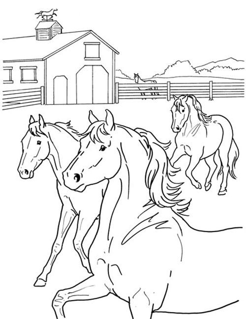 Coloring pages tagged coloring