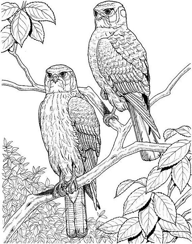 Hard coloring pages printable for free download
