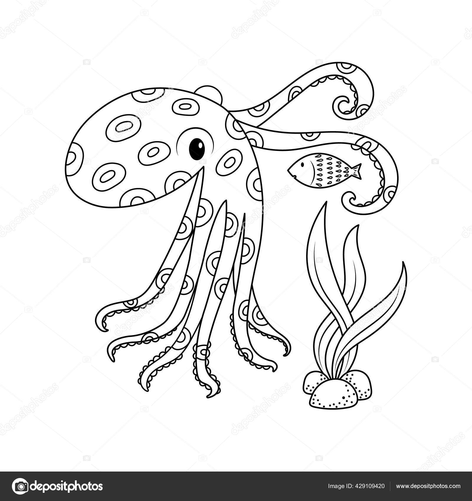 Vector illustration blue ring octopus catching prey sketch style coloring stock vector by nutkinsj