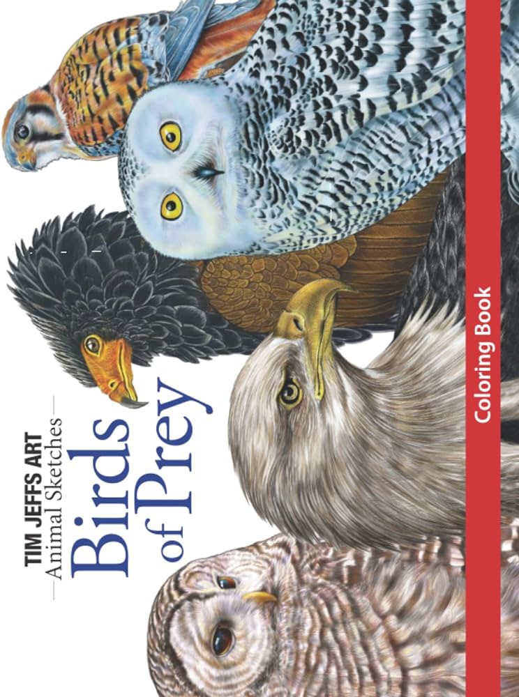 Birds of prey loring book animal sketches jeffs tim warren jo books