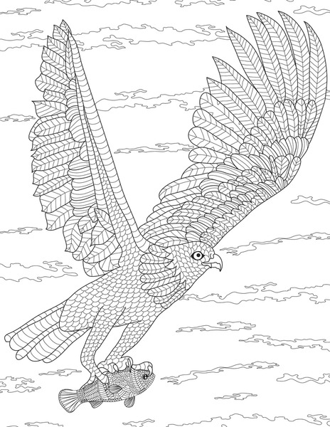 African bird prey over royalty