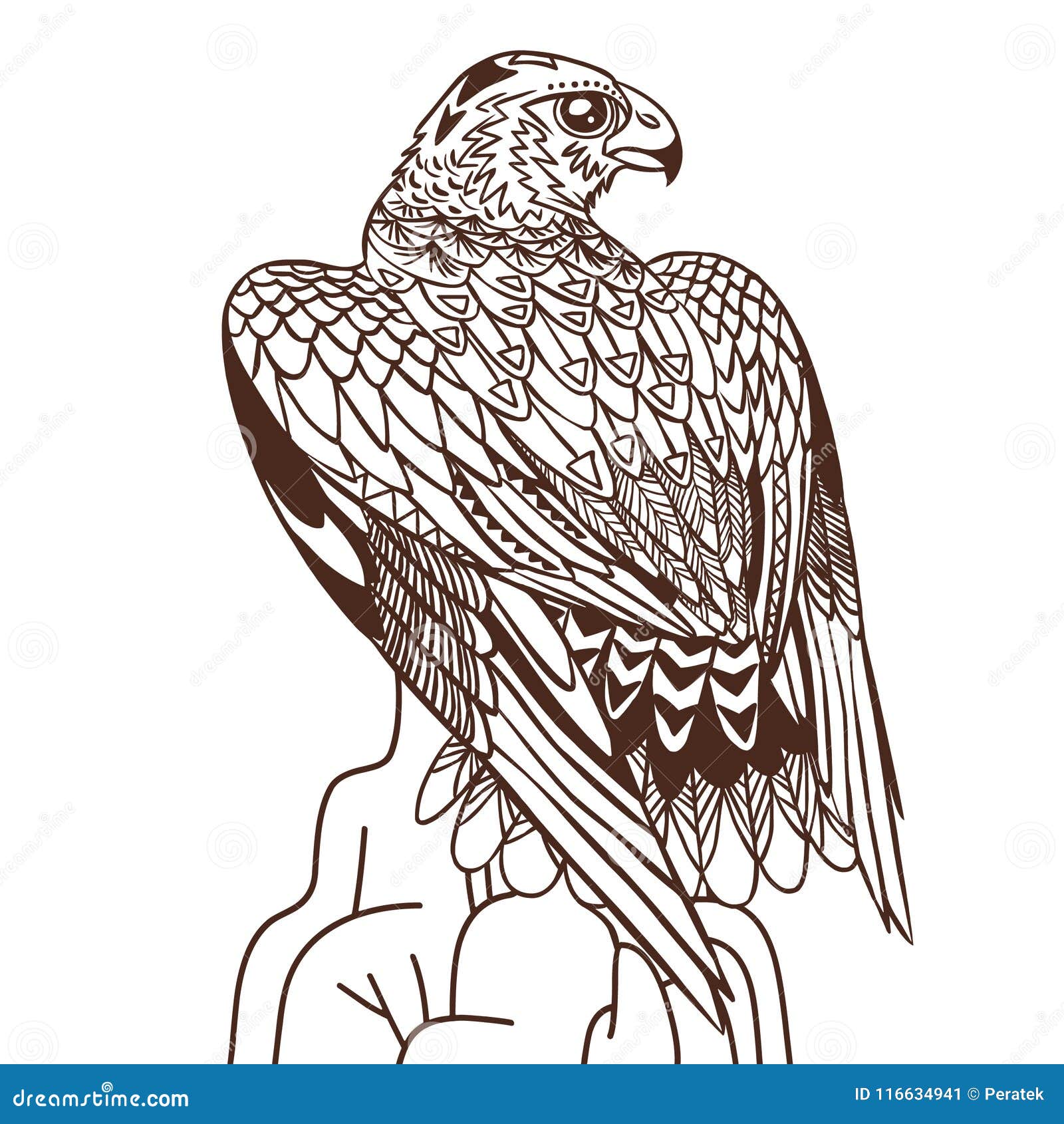 Vector hand drawn bird of prey illustration in bohemian style stock vector