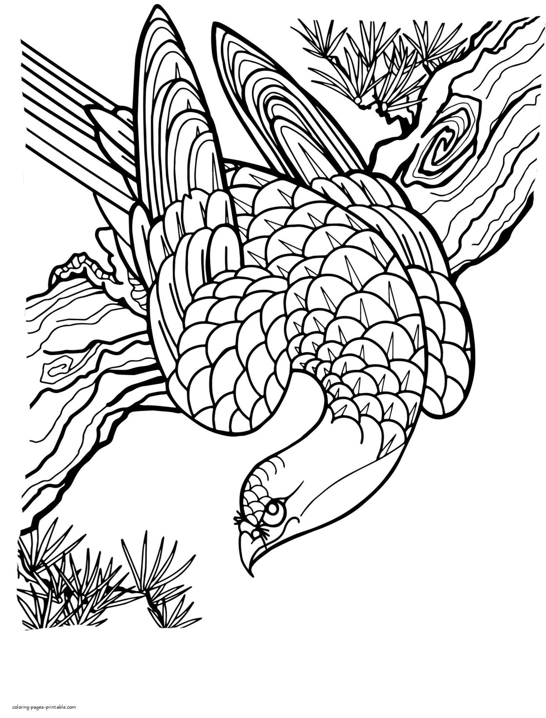 Birds of prey coloring pages for adults coloring