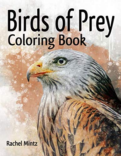 Birds of prey coloring book eagles hawks falcons patriotic bald eagle realistic tattoo designs