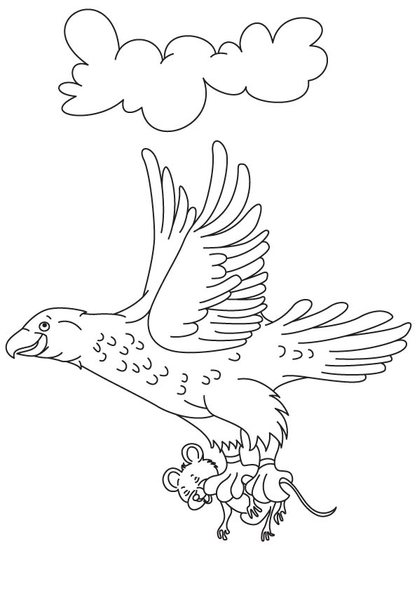 Eagle with its prey coloring page download free eagle with its prey coloring page for kids best coloring pages