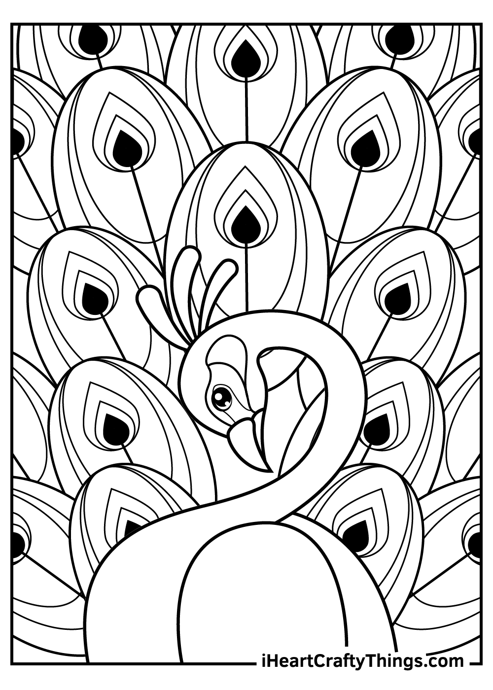 Peacocks coloring pages free printables