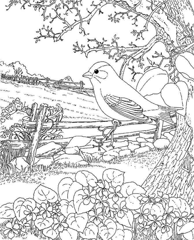 Art therapy coloring page spring