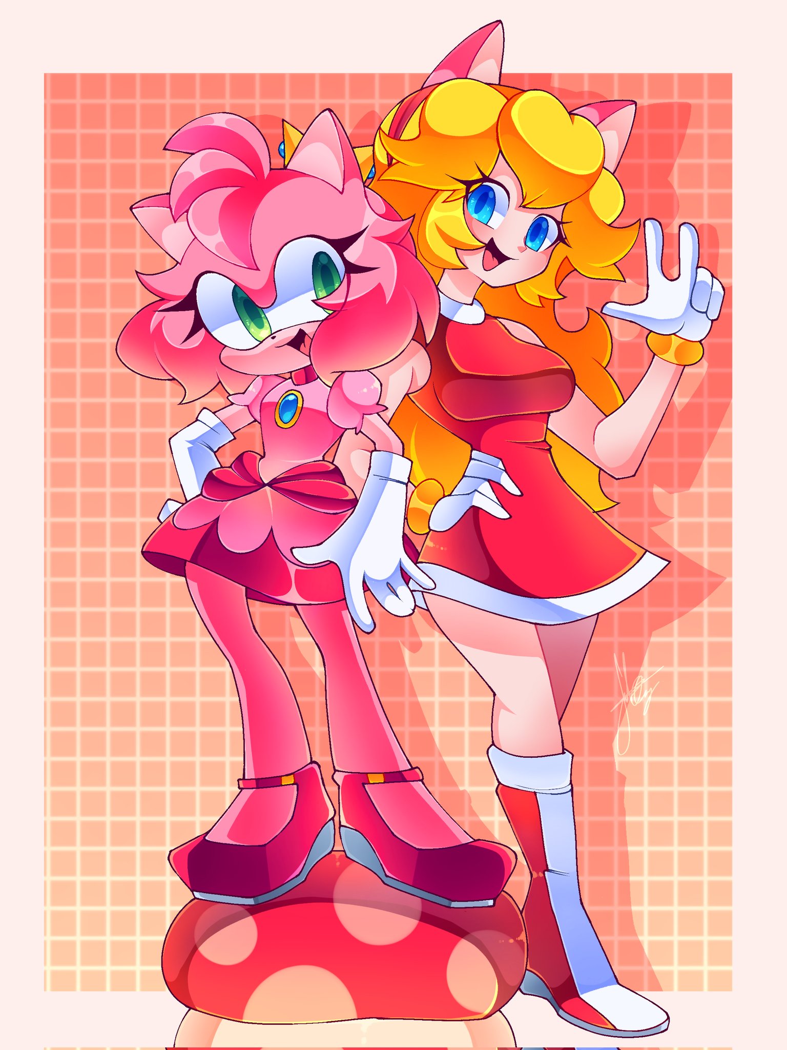 Amy rose and princess peach by msoceanne rsonicthehedgehog