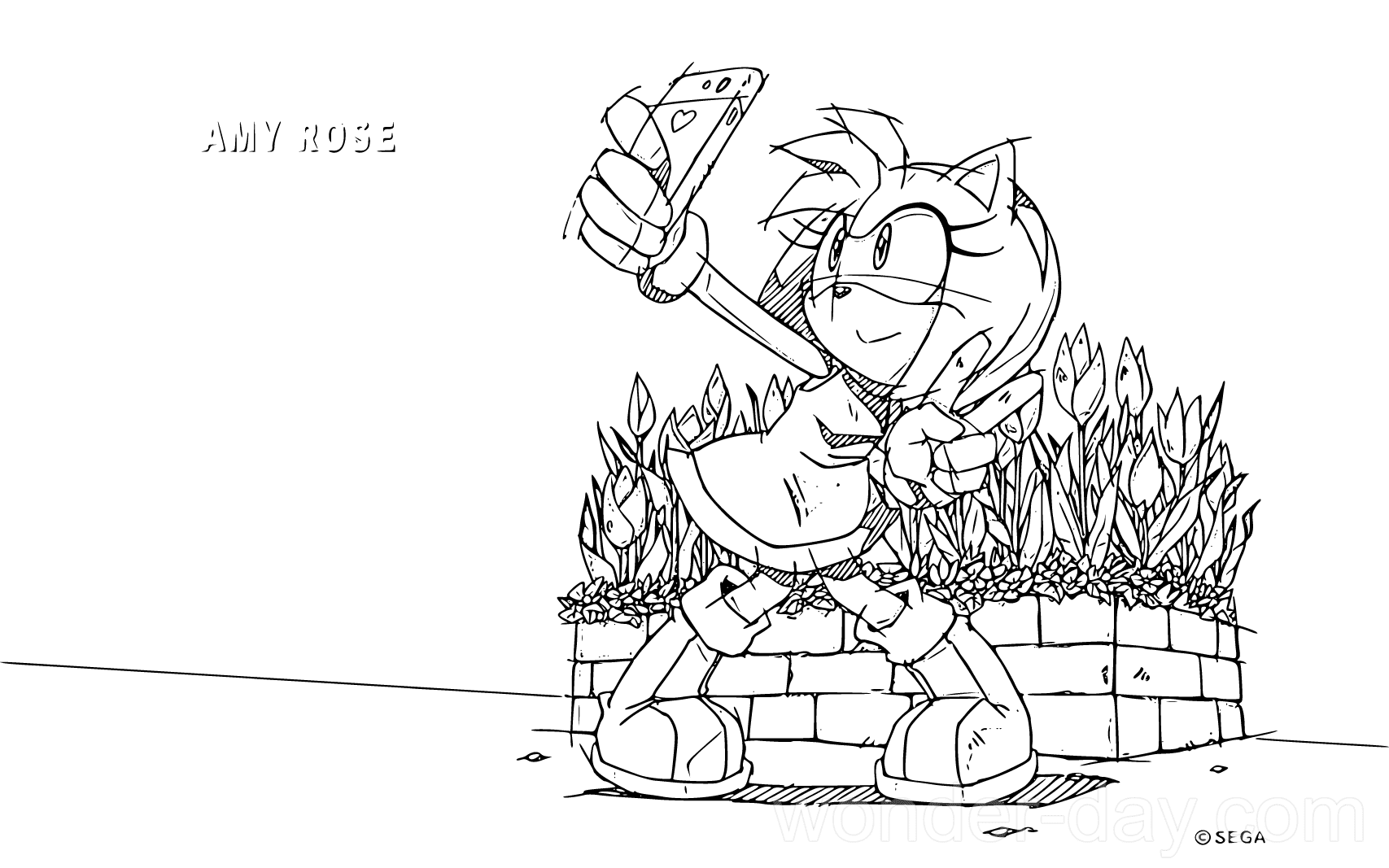 Amy rose coloring pages wonder day â coloring pages for children and adults