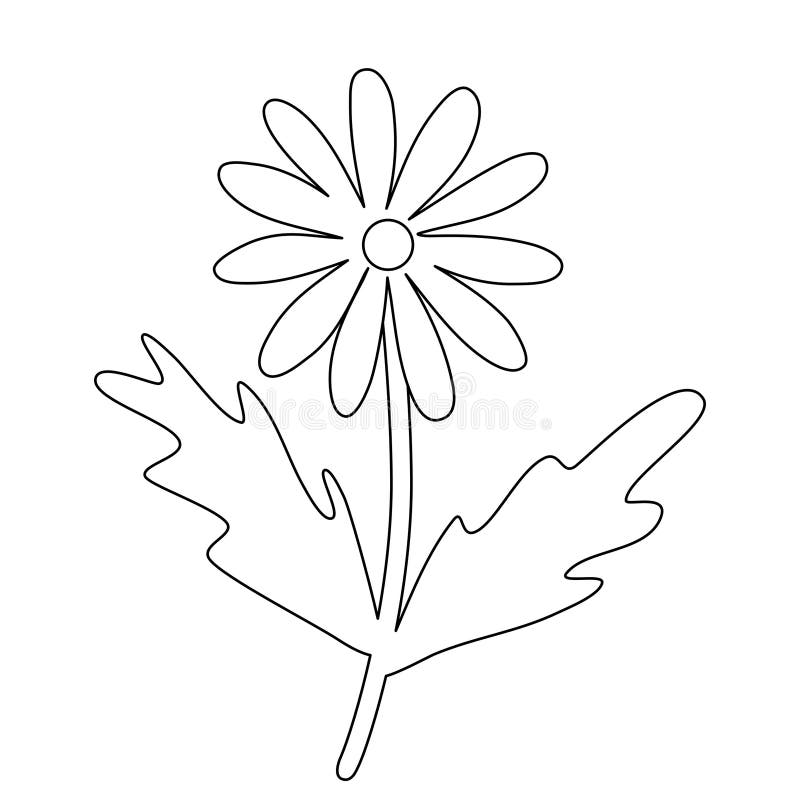 Cartoon daisy flower outline vector stock illustrations â cartoon daisy flower outline vector stock illustrations vectors clipart