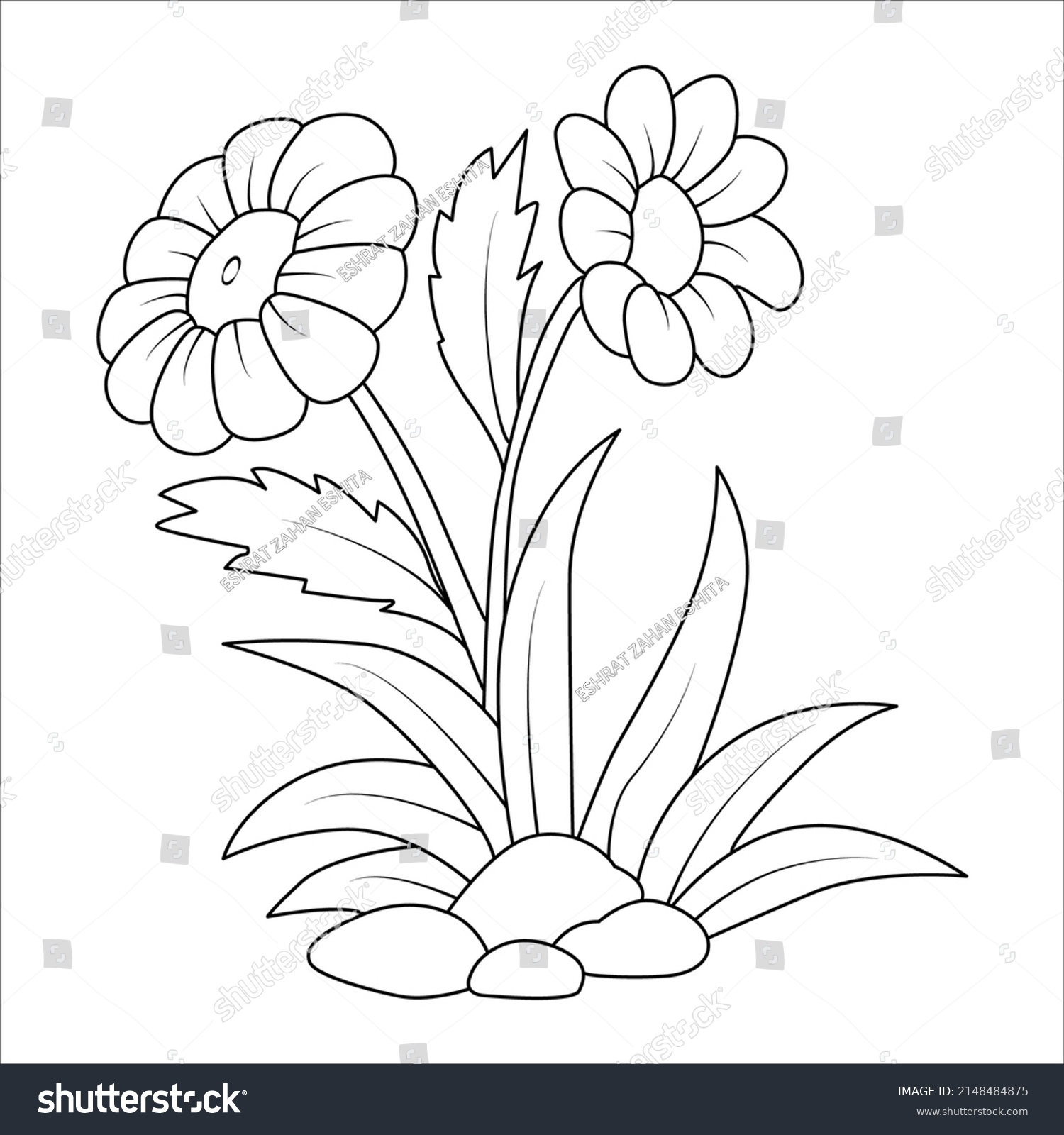 Thousand coloring page roses royalty