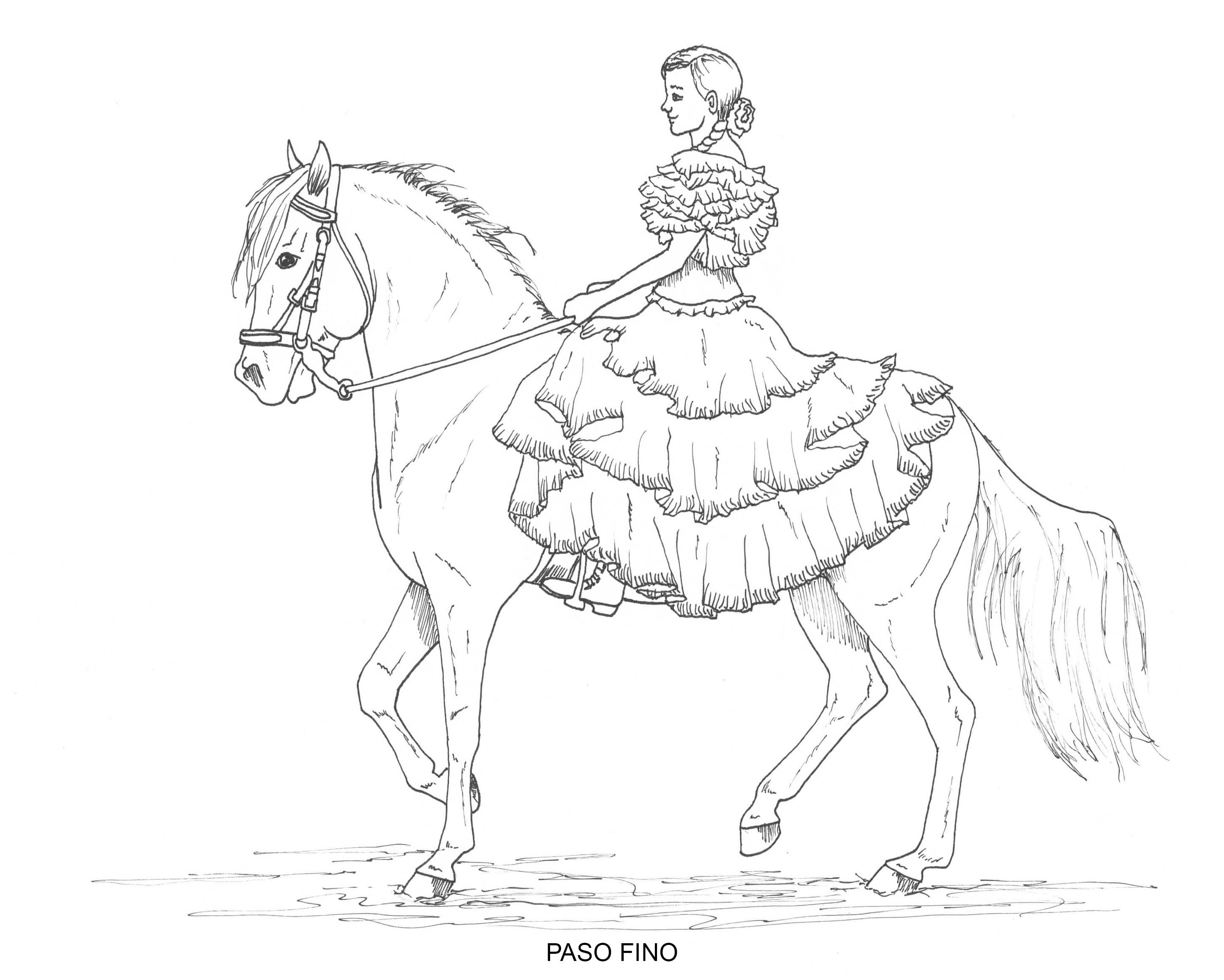 Printable set of horse breed coloring pages digital download