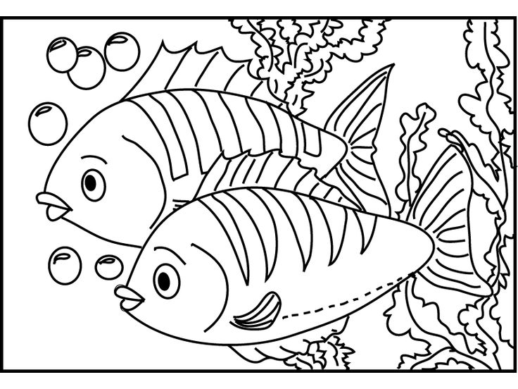 Download or print this amazing coloring page fish coloring pages high definitioâ fish coloring page animal coloring pages rainbow fish coloring page