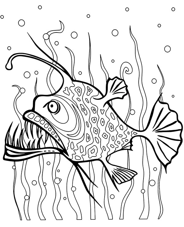 Printable angler fish coloring sheet