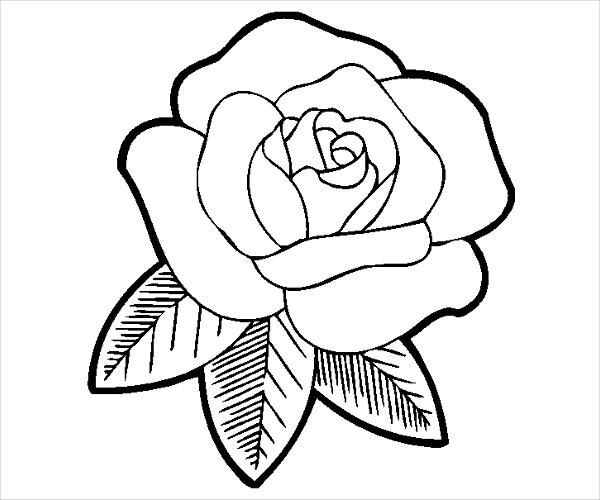 Free rose coloring pages in ai