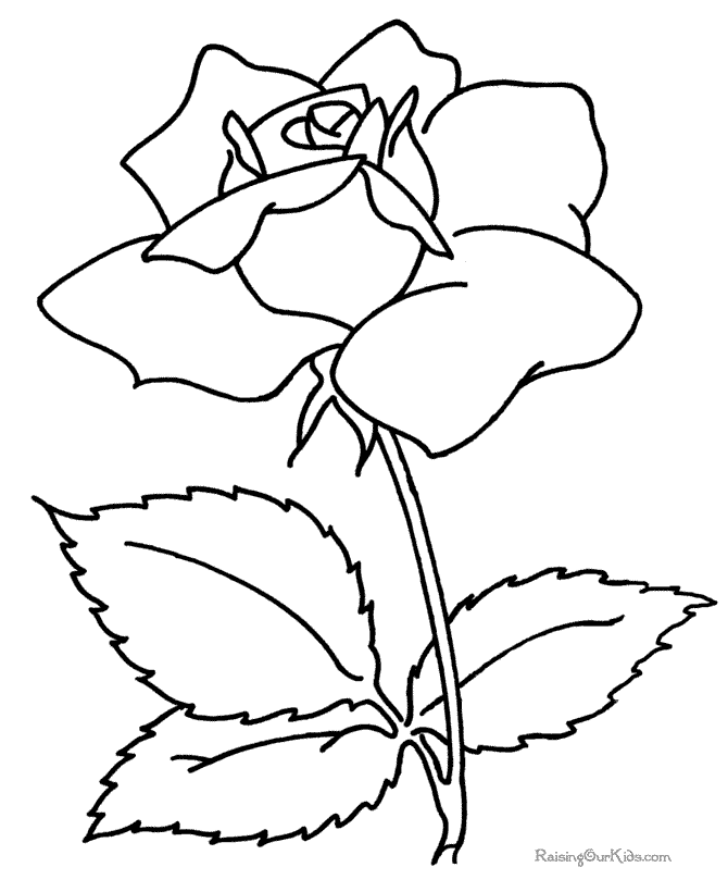 Rose coloring page