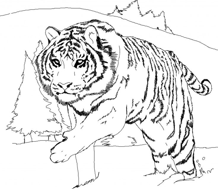 Halloween coloring page animal coloring pages free printable coloring pages download for kids disegni da colorare disegni colori