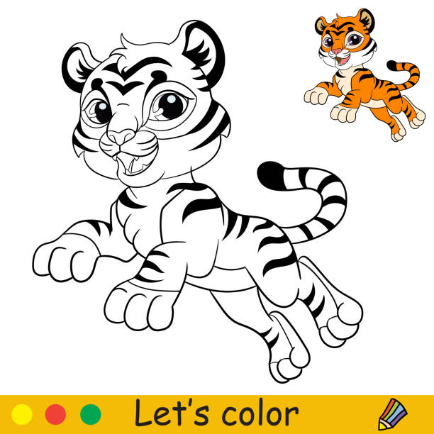 Tiger coloring stock photos pictures royalty