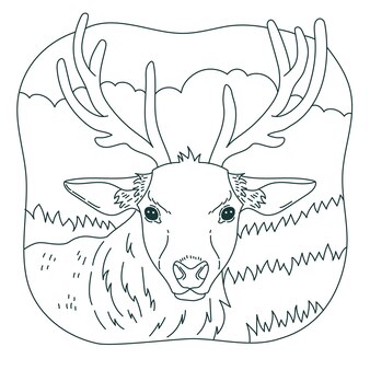 Deer coloring pages printable vectors illustrations for free download