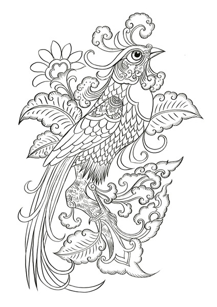Thousand coloring pages bird adults royalty