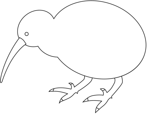 Kiwi bird coloring page free printable coloring pages