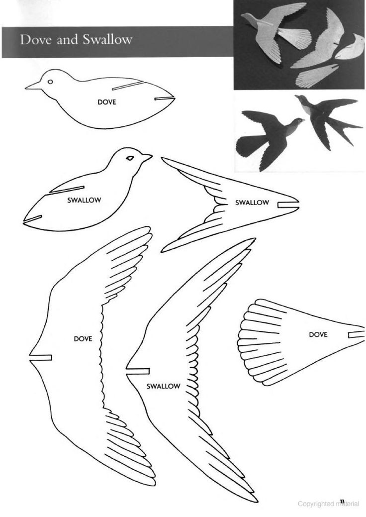 Free printable d bird template