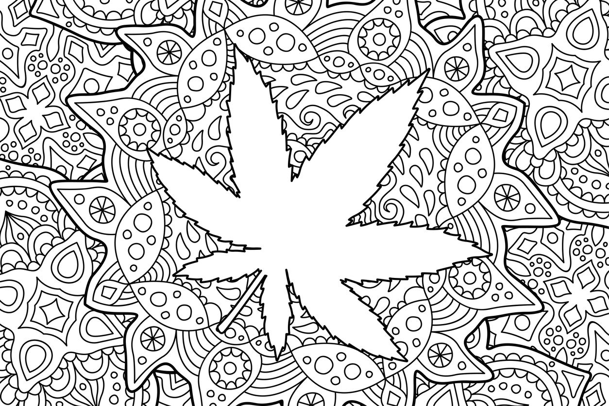Color me cannabis stay highly entertained with these