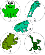 Five green and speckled frogs felt board characters