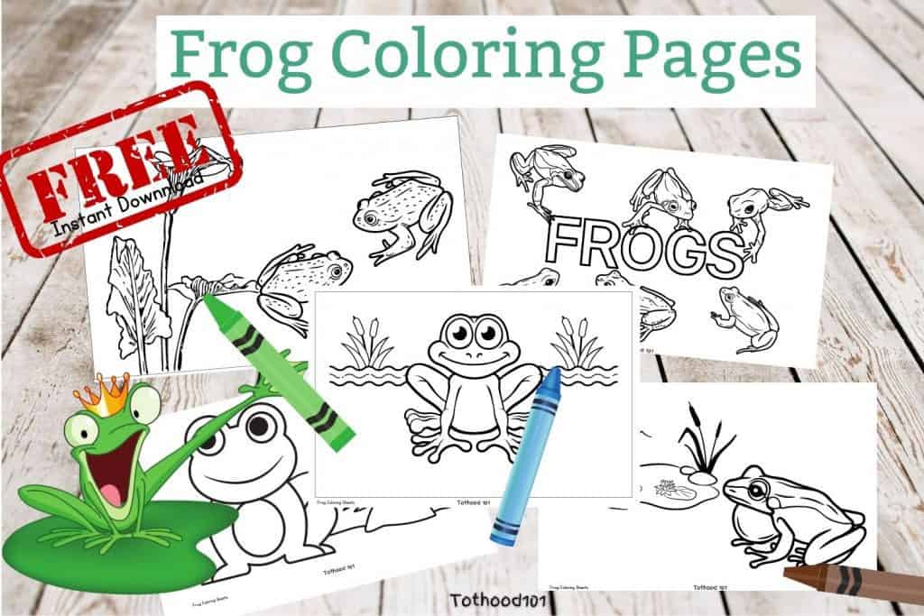 Creative preschool frog activities
