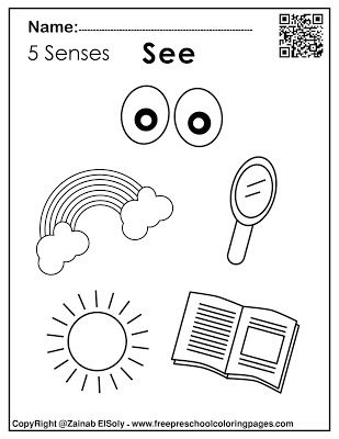 Set of senses activities for kids senses activities senses activities senses preschool