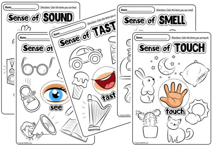 Senses activities for preschoolers