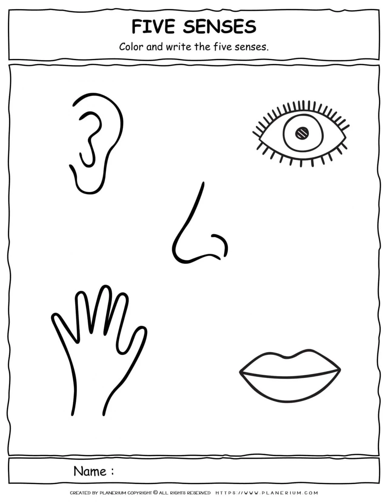 Science worksheet