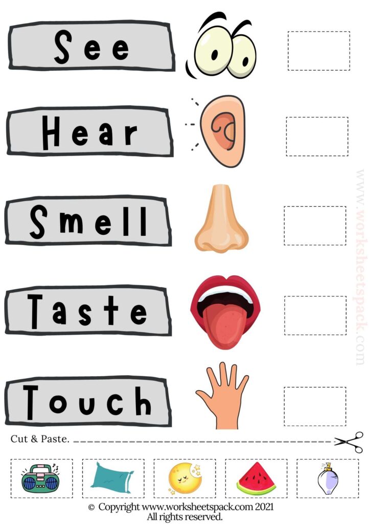 Senses activities for preschool