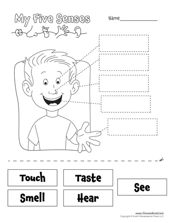 Five senses worksheets for kids plus senses craft â tims printables