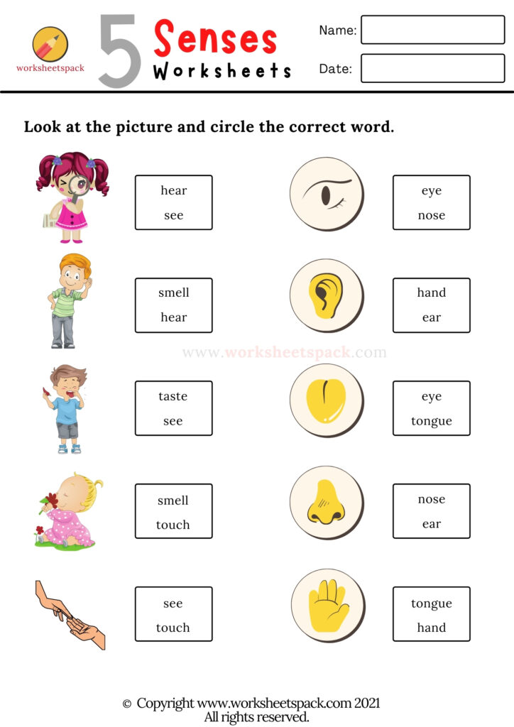 The senses worksheets