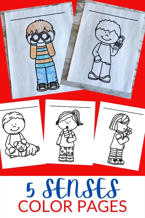 Free senses coloring pages preschool coloring pages kindergarten coloring pages free preschool printables