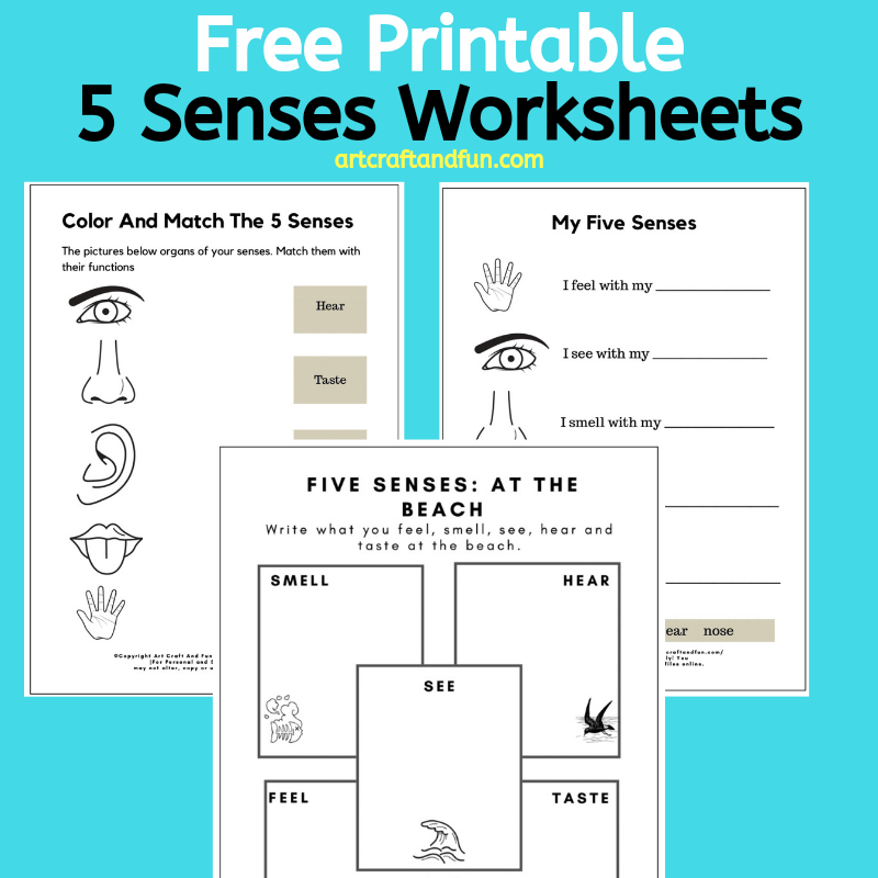 Free printable senses worksheets