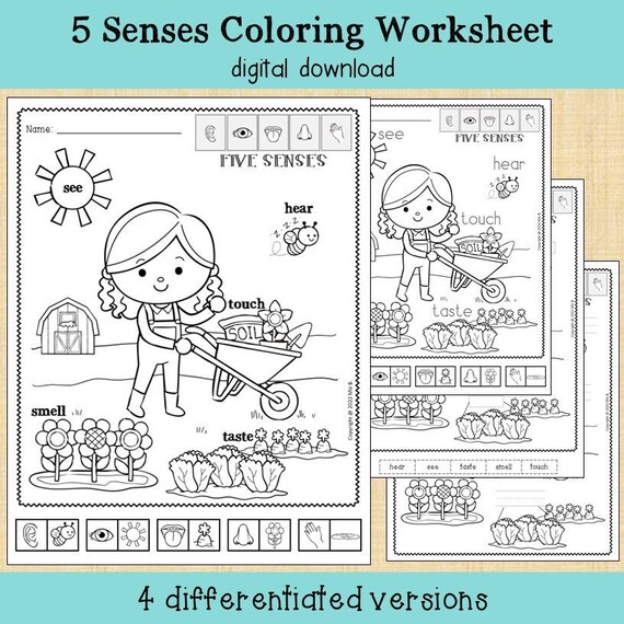 My body five senses coloring worksheet printable