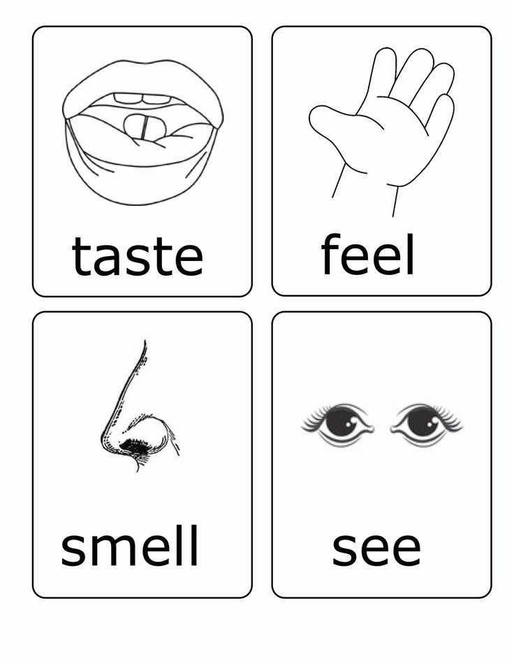 Â