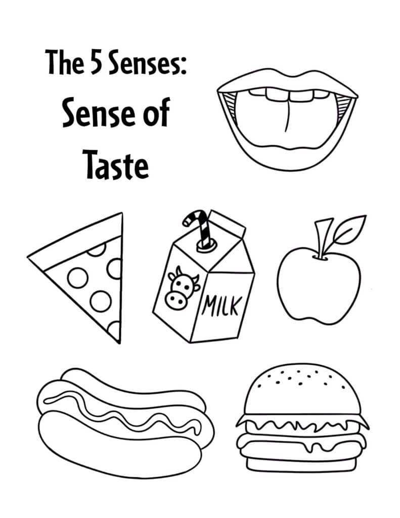 The senses worksheets for preschool â the hollydog blog