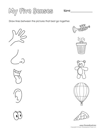 Five senses worksheets for kids plus senses craft â tims printables